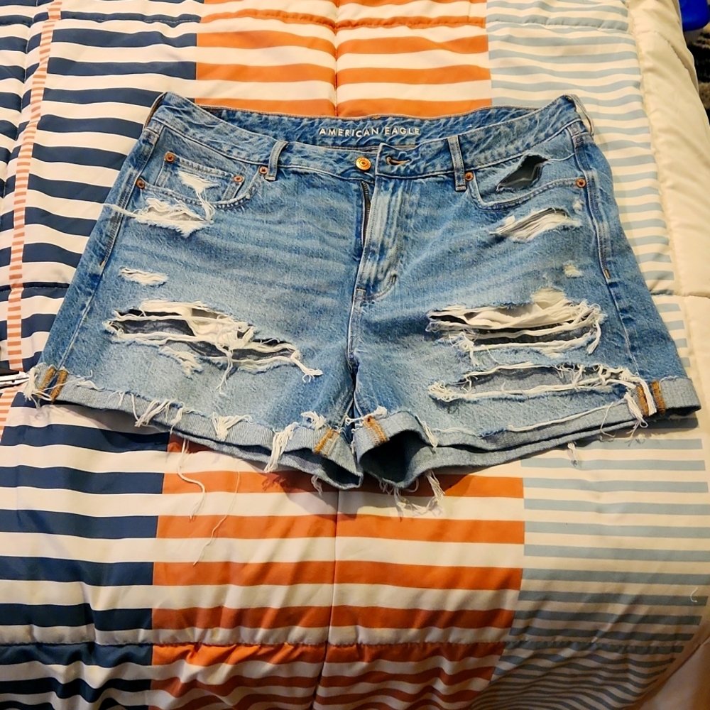 American Eagle Outfitters Light Blue Distressed Denim Shorts